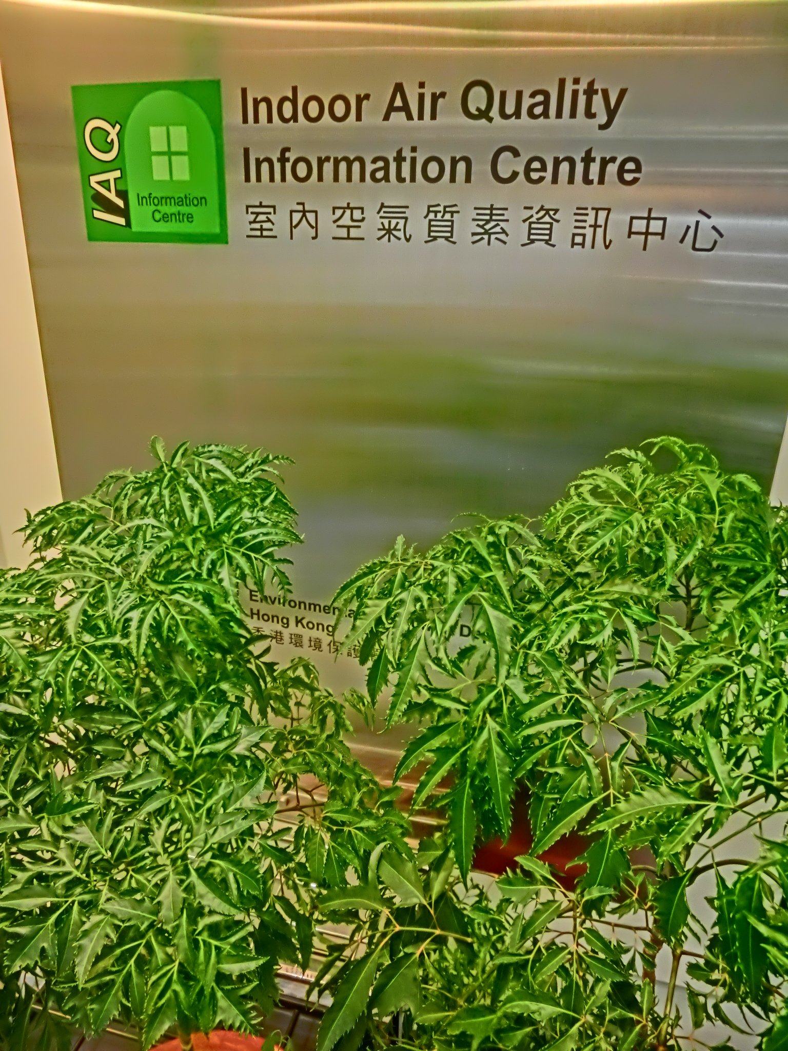 Impact on Indoor Air⁣ Quality and Respiratory Health
