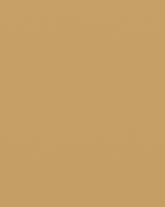 RAL 1002 Sand yellow