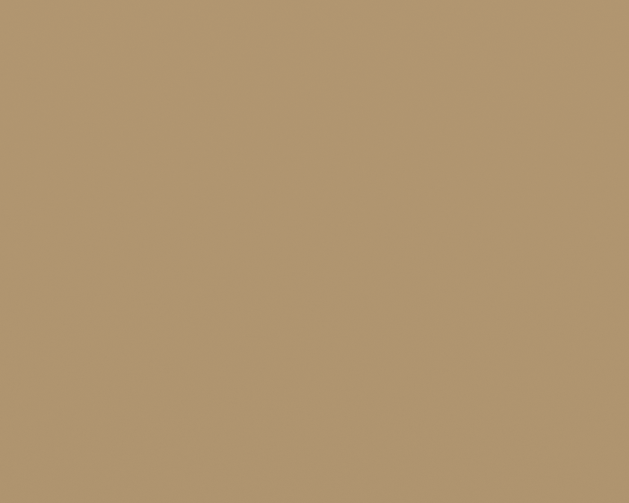 RAL 1001 Beige