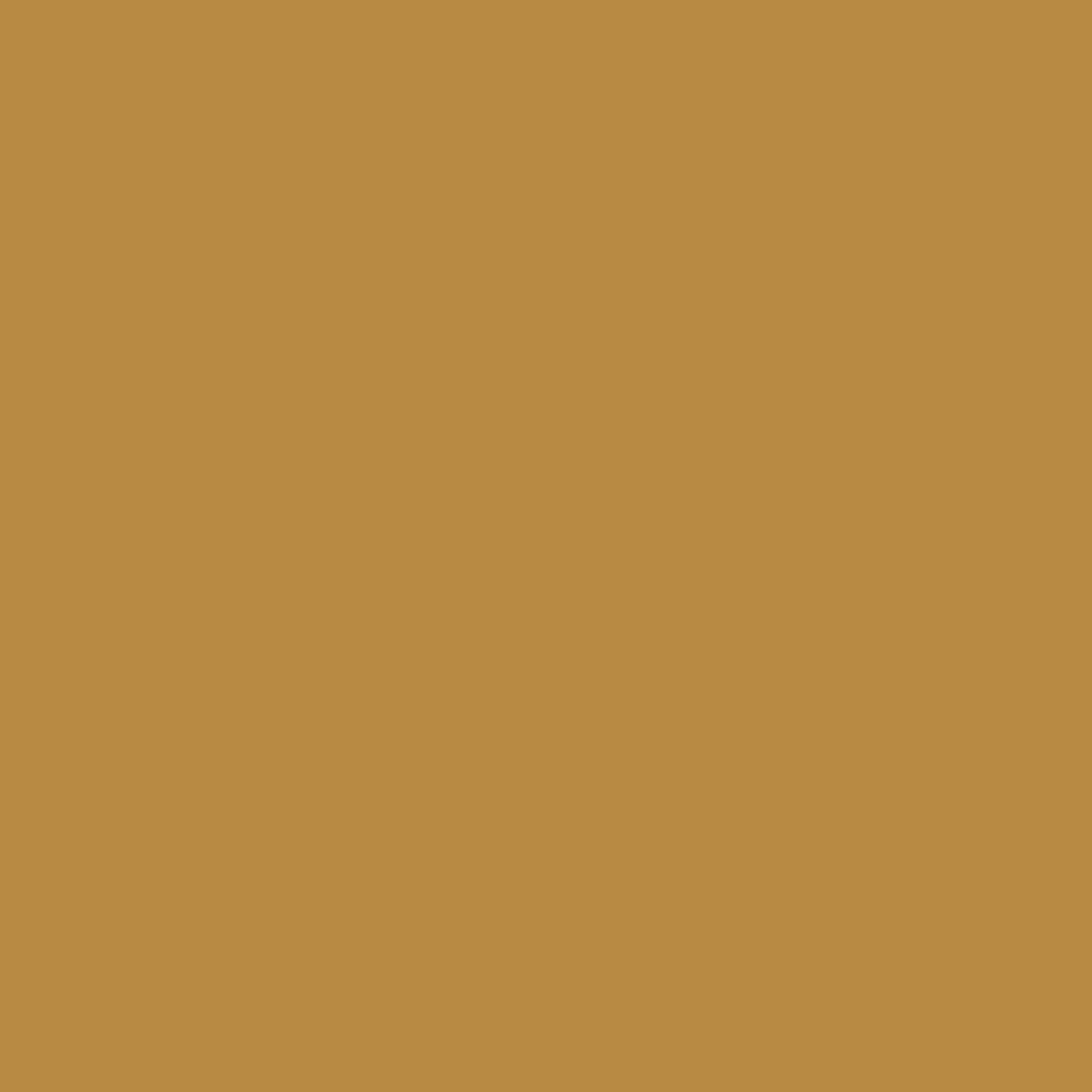 RAL 1024 Ochre Yellow